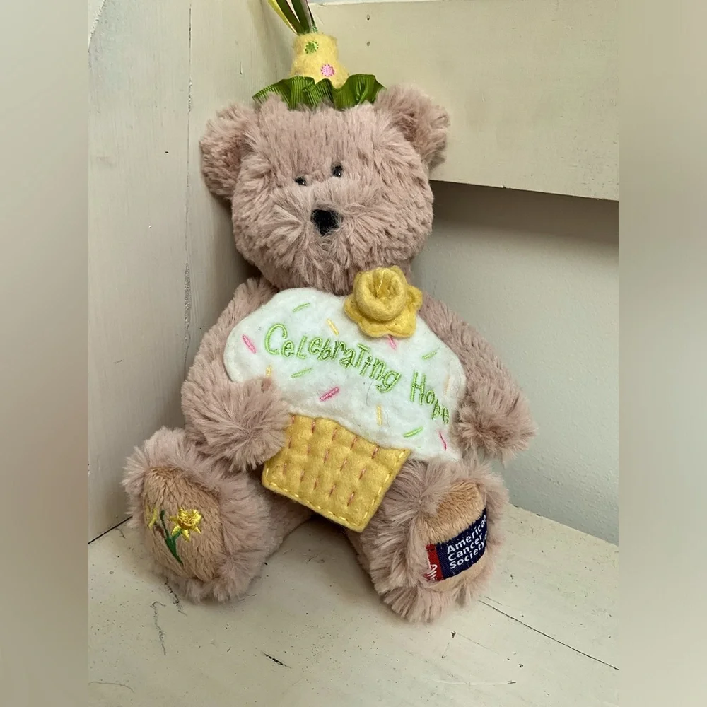 Boyd bear American cancer celebration bear with tags - Picture 1 of 1